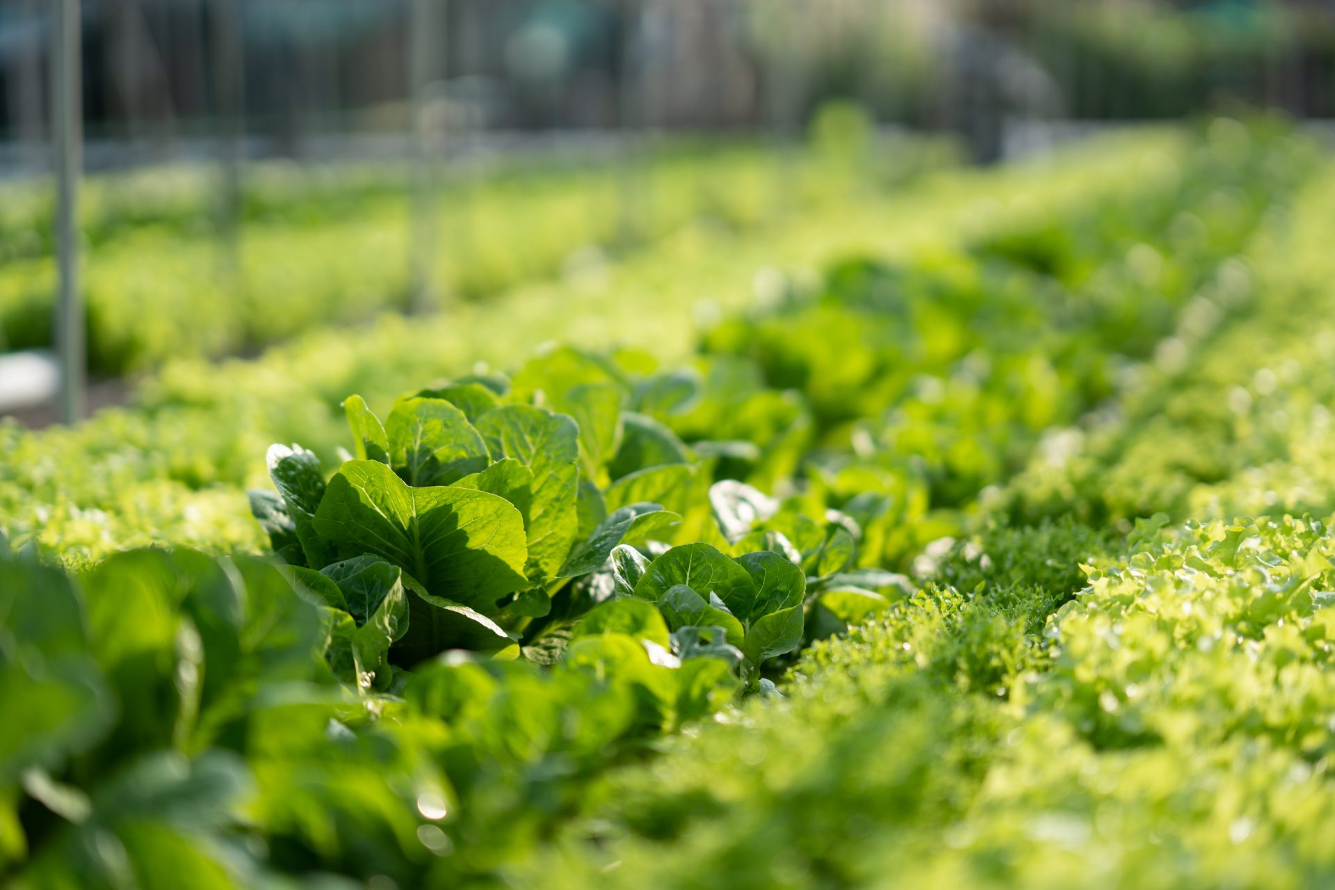 Wildlife & Biodiversity thumbnail 3