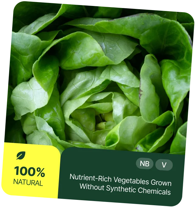 Spring Harvest 2024 thumbnail 4