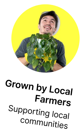 Sustainable Farming Practices thumbnail 3